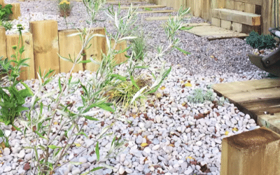 Innovative Ways to Incorporate Gravel into Your Landscape Design